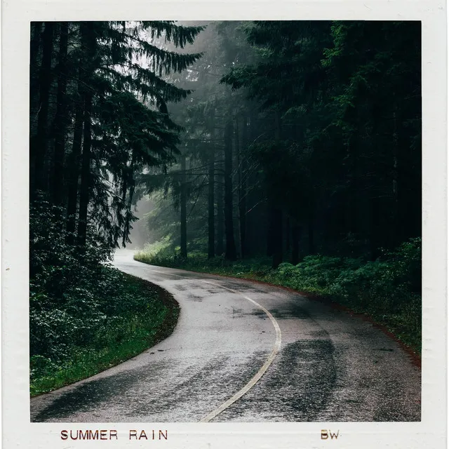 Summer Rain