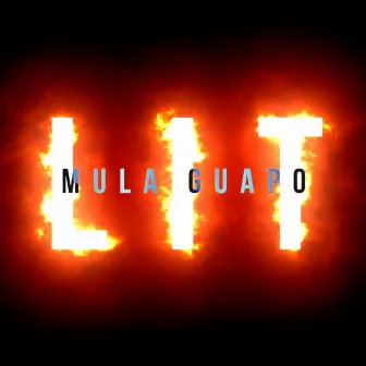 Lit by Mula Guapo