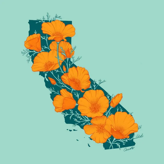 CALIFORNIA - SINGLE