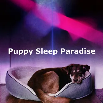 Puppy Sleep Paradise by Dog Music Sessions