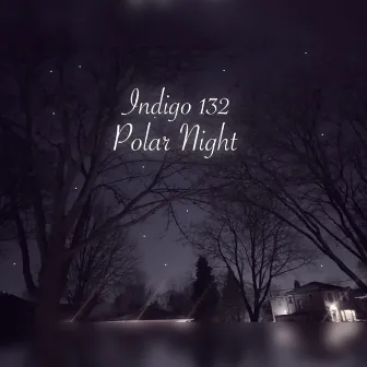 Polar Night by Indigo 132