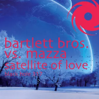 Satellite Of Love by Bartlett Bros.