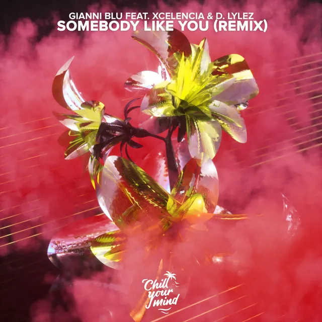 Somebody Like You - Xcelencia Remix