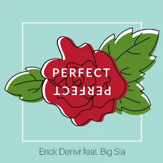 Perfect by Big Sia