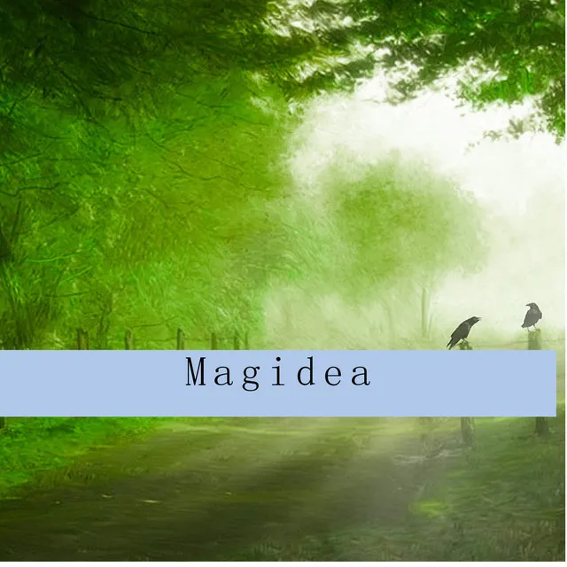 Magidea