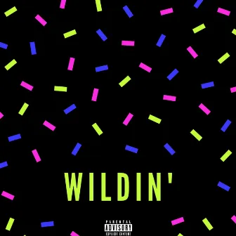 Wildin' by Dxddy T