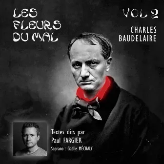 Les Fleurs du Mal de Charles Baudelaire, vol. 2 by Paul Fargier