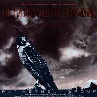 Falcon & The Snowman by Pat Metheny Group