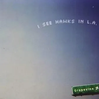 Grapevine by I See Hawks In L.A.