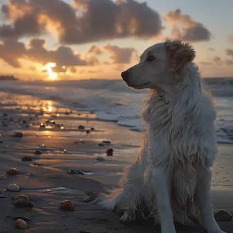 Océano Relajante: Olas Suaves Para Momentos Relajantes Con Las Mascotas by Relájate con las olas