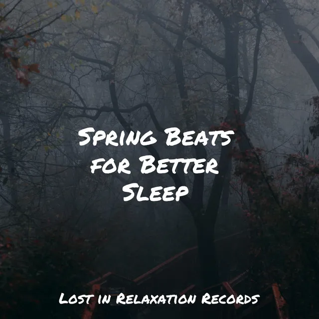 Spring Beats for Better Sleep