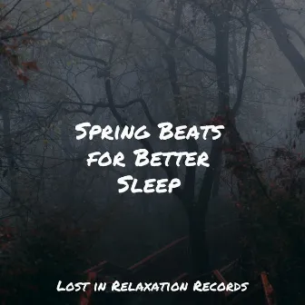 Spring Beats for Better Sleep by Nursery Rhymes Club