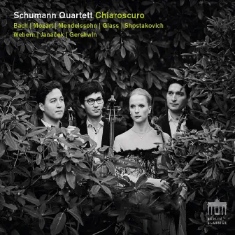 Chiaroscuro by Schumann Quartett