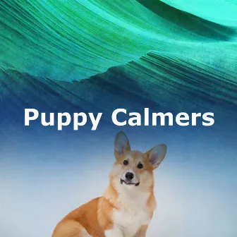 Puppy Calmers by Music for Puppies