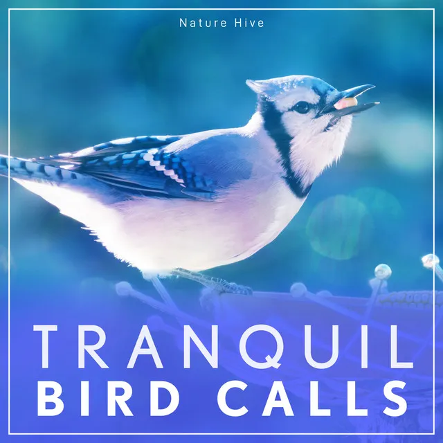 Tranquil Bird Calls