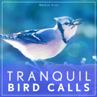 Tranquil Bird Calls by Nature Hive