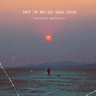 Det är nu du ska leva by Magnus Bergman