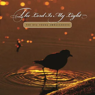 The Lord Is My Light by Randy Boothe