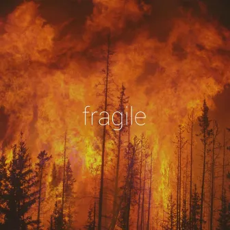 Fragile by Basstakil