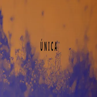 Única by Biigo