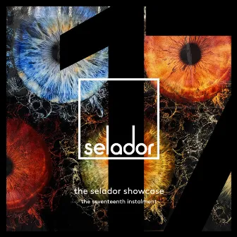 The Selador Showcase - The Seventeenth Instalment by Robert Babicz