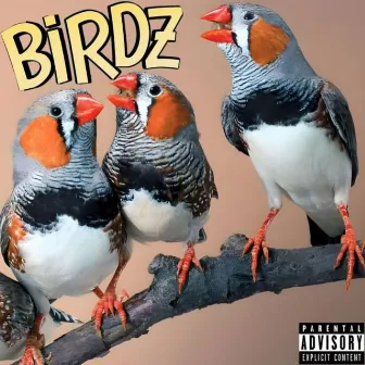 BIRDZ by GhostBoy