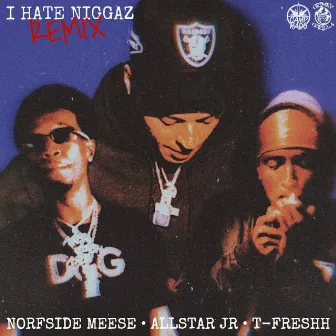 I Hate Niggaz by Norfside Meese