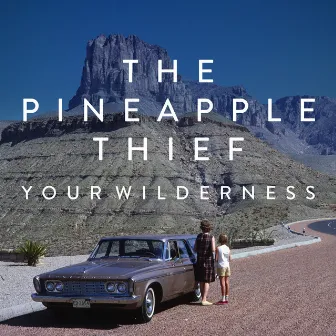 Your Wilderness by The Pineapple Thief