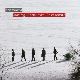 Coming Home for Christmas by Amarcord