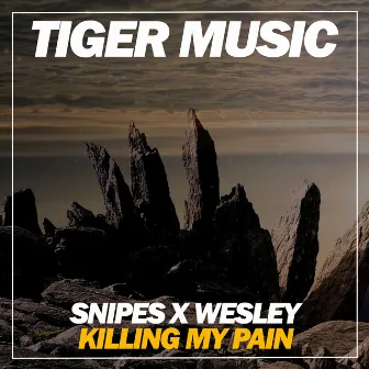 Killing My Pain by Snipes X Wesley