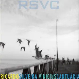 Rsvc by Vinicius Cantuaria