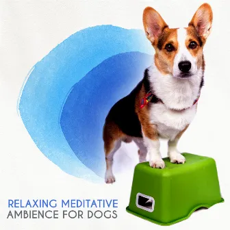 Relaxing Meditative Ambience for Dogs by Meditate to Relaxation Music