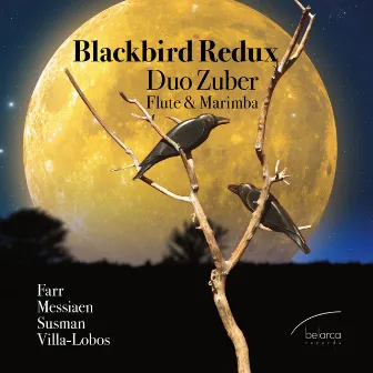 Blackbird Redux by Duo Zuber