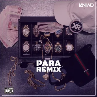 PARA (Remix) by Lani Mo