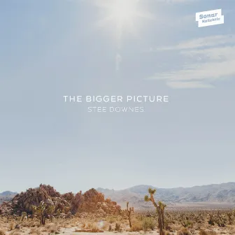 The Bigger Picture by Stee Downes