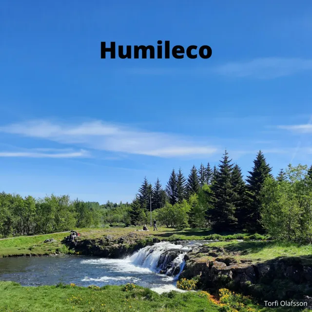 Humileco