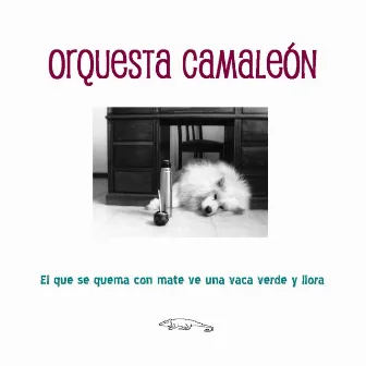 El Que Se Quema Con Mate Ve una Vaca Verde y Llora by Orquesta Camaleón