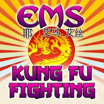 Kung Fu Fighting by EMS