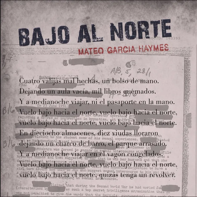 Bajo al Norte