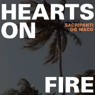 Hearts On Fire by Sacripanti