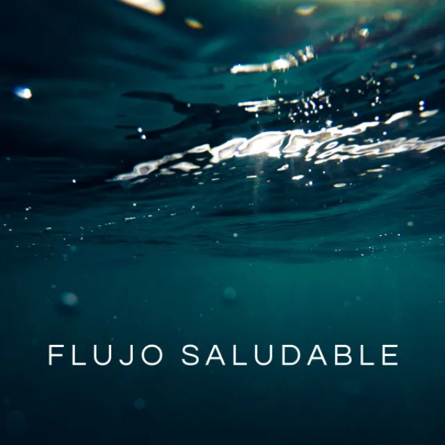 Flujo Saludable