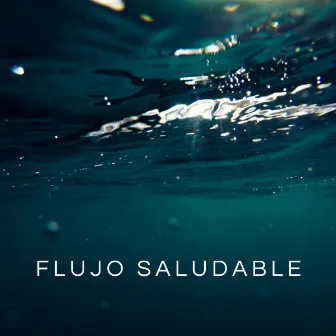 Flujo Saludable by 