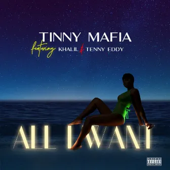 All I Want by Tinny Mafia