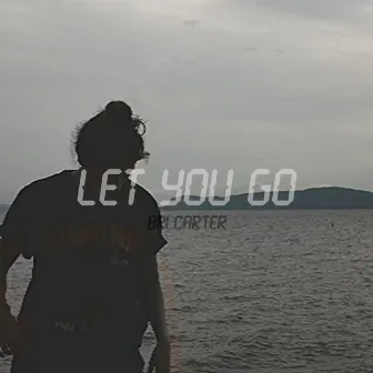 Let You Go by Bri Carter