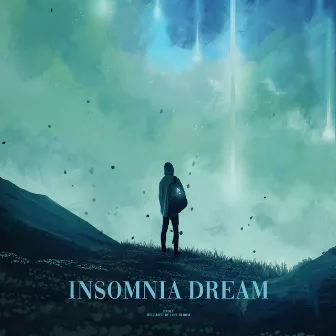 insomnia dream by endly