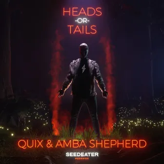 Heads or Tails by QUIX