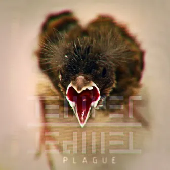 Plague by Temper Temper