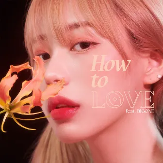 How to Love by Kim Mi Jeong