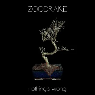 Nothing's Wrong by ZOODRAKE