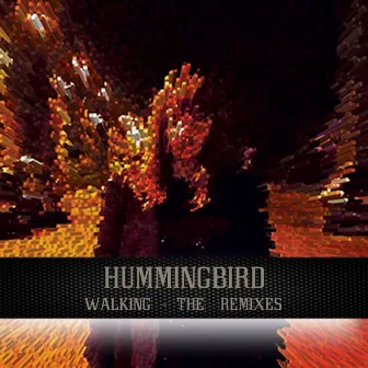 Walking (The Remixes) by Hummingbird